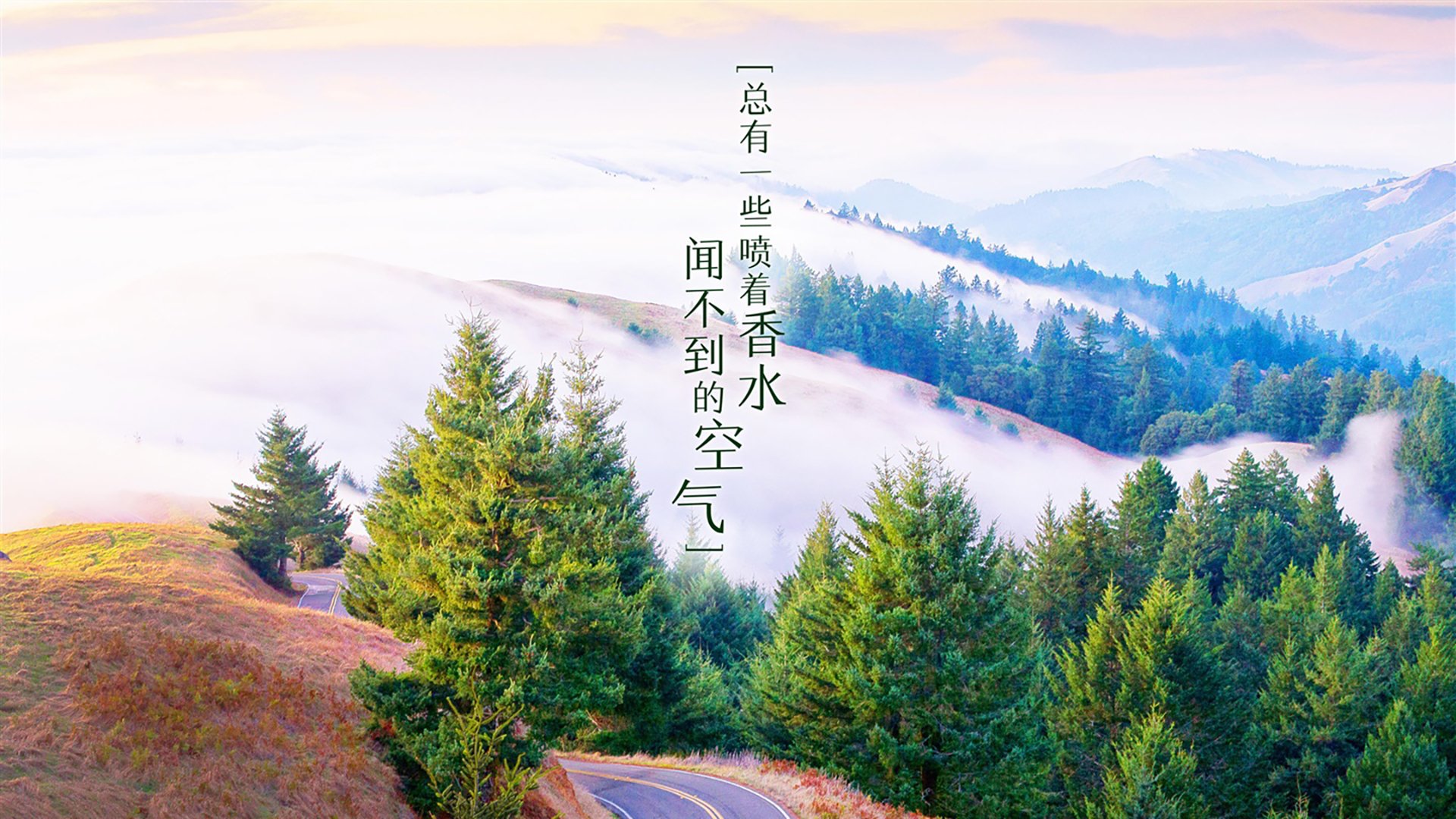 2026 世界杯高清多维度全功能转播权官宣：流媒体与数字体育结盟，超高清世界杯转播